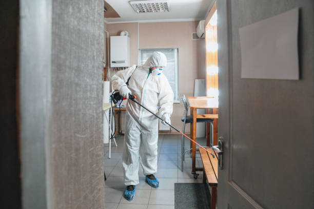 Best Black Mold Removal  in Bad Axe, MI