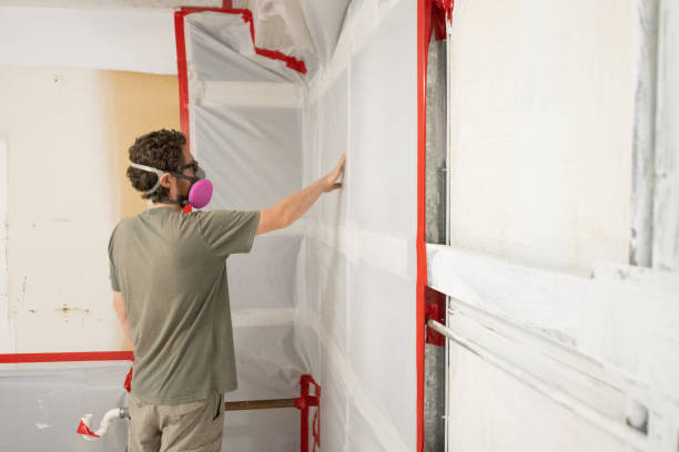 Best Environmental Consulting for Mold Prevention  in Bad Axe, MI