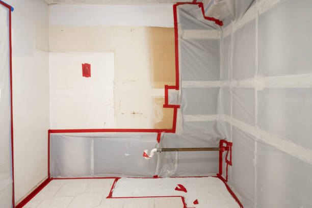 Best Emergency Mold Remediation  in Bad Axe, MI
