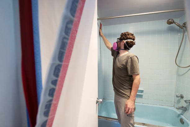 Best Mold Remediation for Rental Properties  in Bad Axe, MI