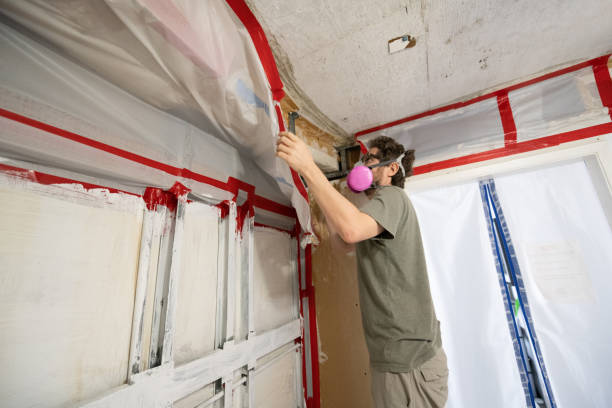 Reliable Bad Axe, MI Mold Removal Solutions