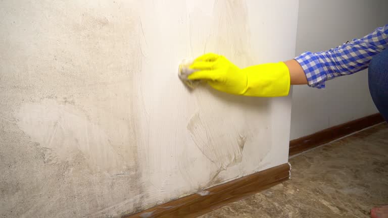 Best Post-Construction Mold Inspection  in Bad Axe, MI