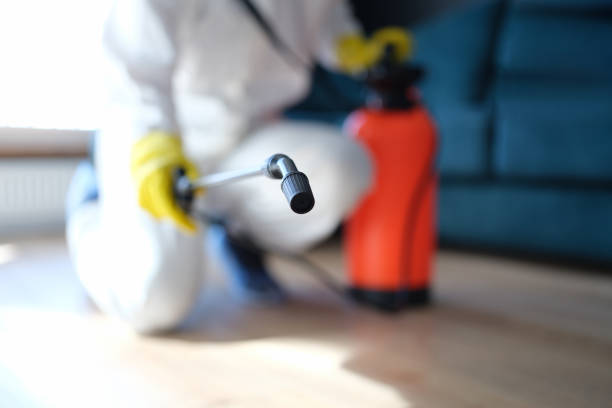 Forensic Mold Investigation in Bad Axe, MI