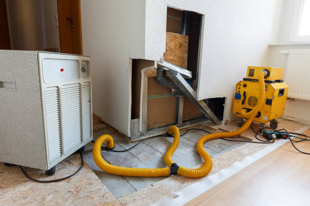 Best Post-Remediation Verification Testing  in Bad Axe, MI