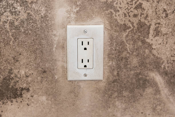 Environmental Consulting for Mold Prevention in Bad Axe, MI