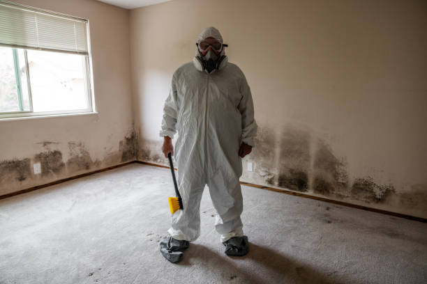 Best Basement Mold Removal  in Bad Axe, MI